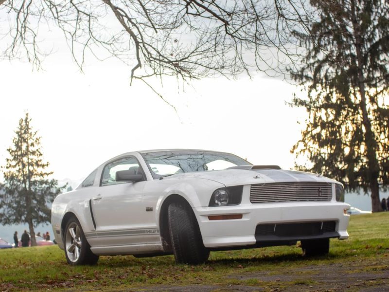 Mustang SHELBY GT 2007