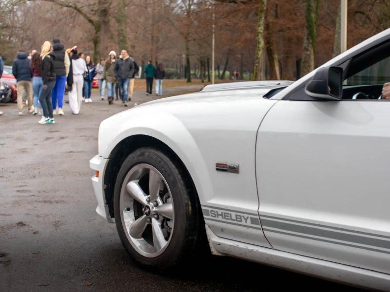 Mustang SHELBY GT 2007