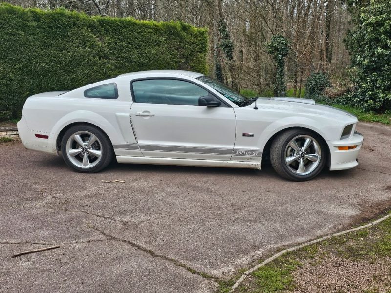 Mustang Shelby Gt