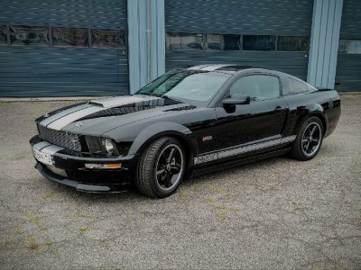 Mustang GT Shelby