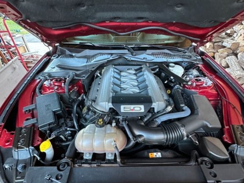 Mustang GT V8 5.0 Fastback