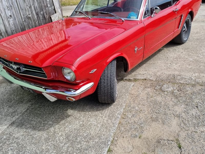 Mustang 65