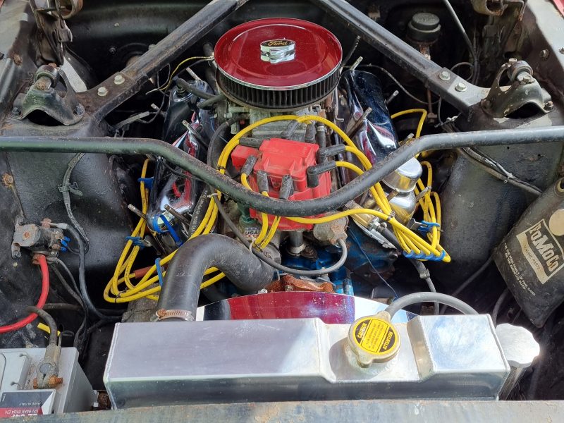 Mustang 65