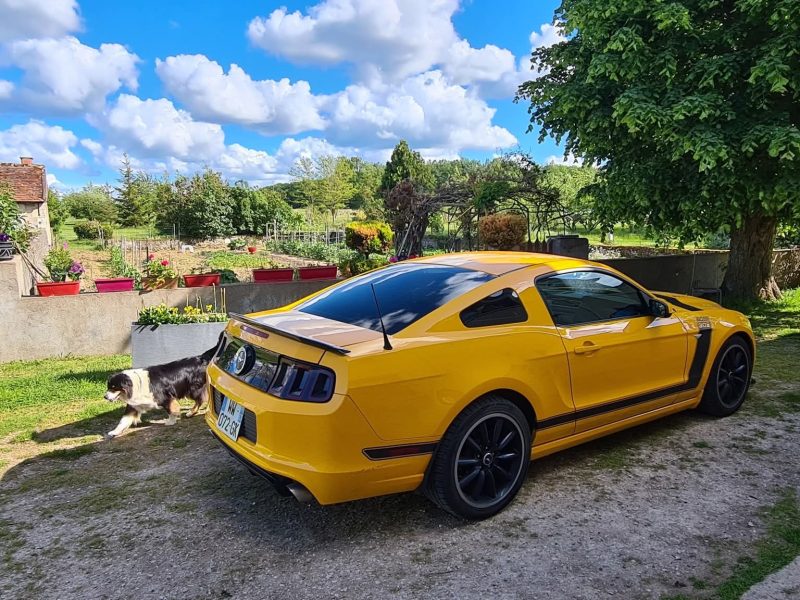 Mustang Boss 302 - 2013 - 444Cv