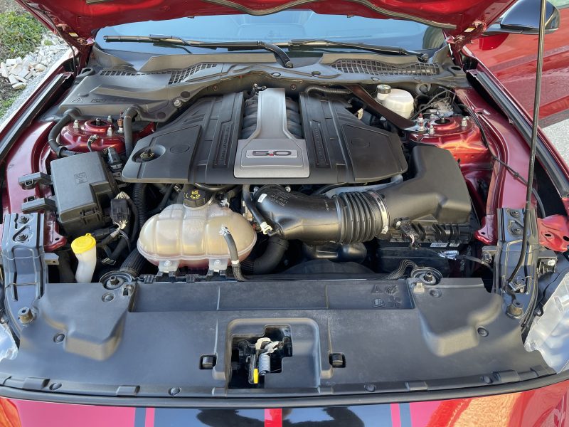 Mustang replique Shelby GT500 base gt 5.0 v8 bva10 francaise