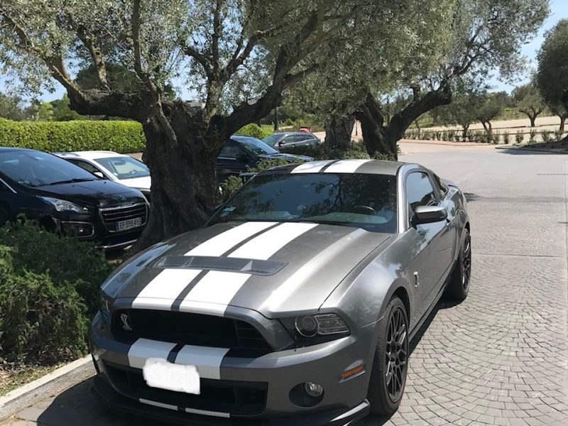FORD MUSTANG GT500 SHELBY