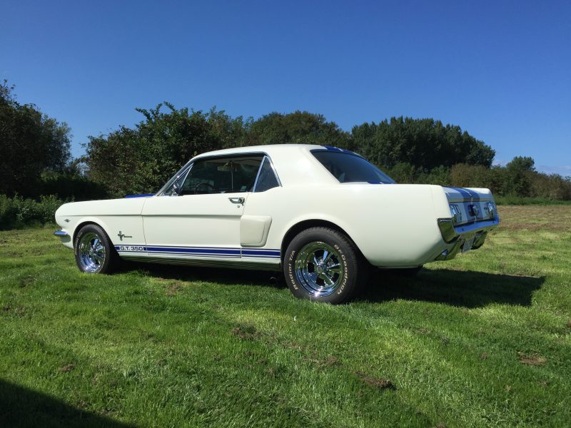 Ford Mustang v8 289ci look Shelby GT350
