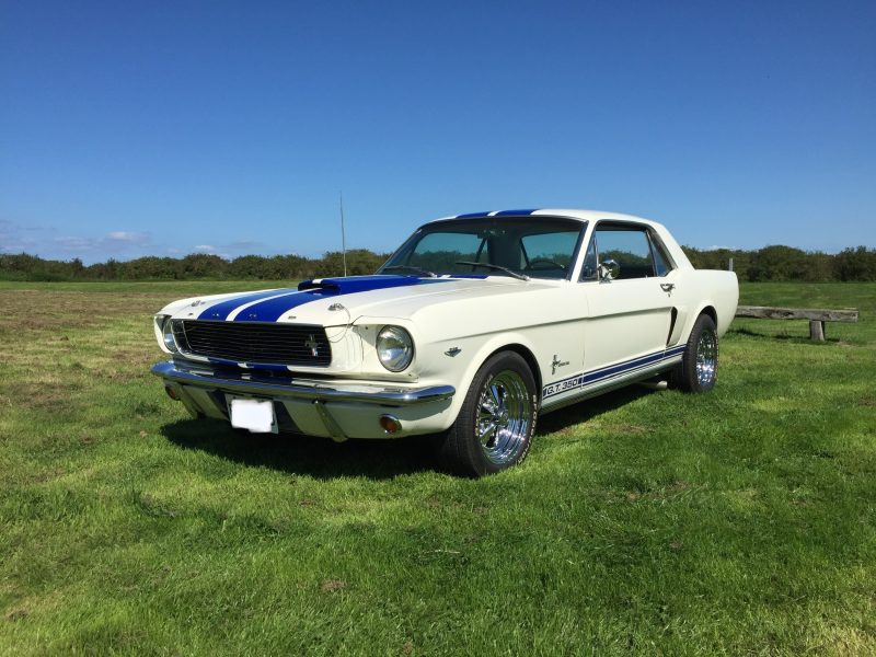 Ford Mustang v8 289ci look Shelby GT350