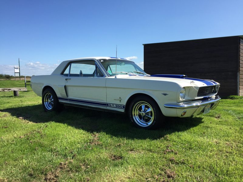Ford Mustang v8 289ci look Shelby GT350