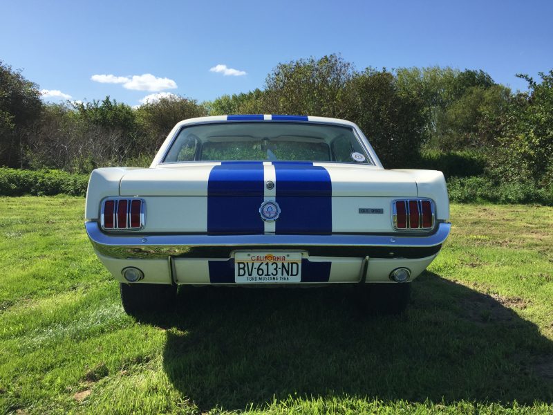 Ford Mustang v8 289ci look Shelby GT350