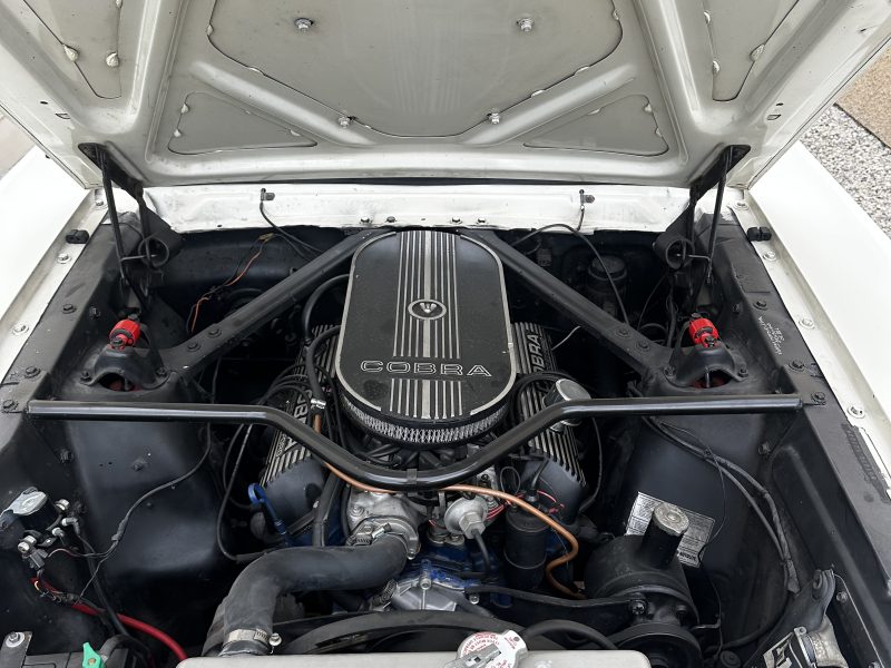 Ford Mustang v8 289ci look Shelby GT350